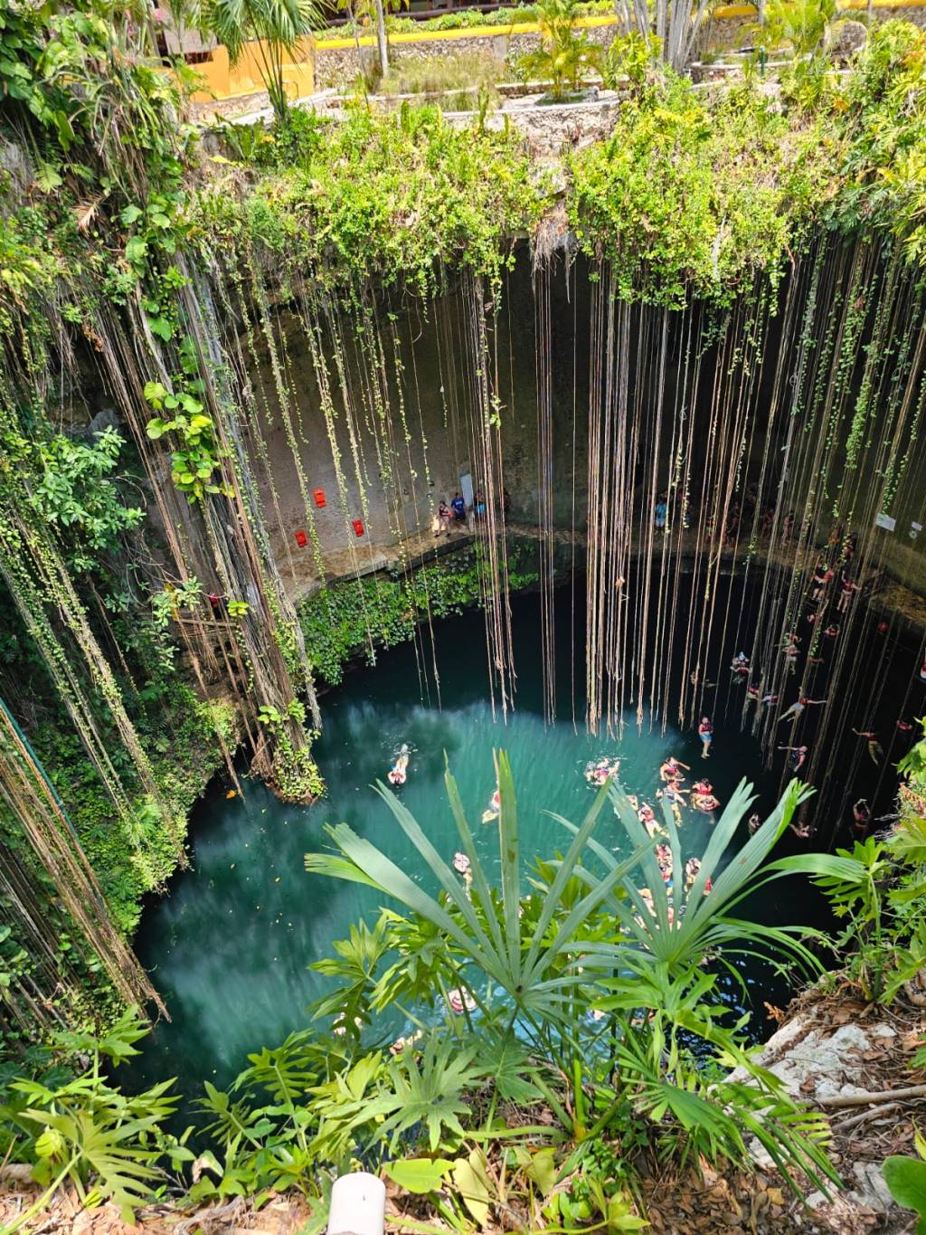 Best Cenotes to Visit in&nbsp;Mexico